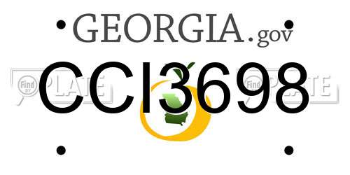 CCI3698 Georgia License Plate