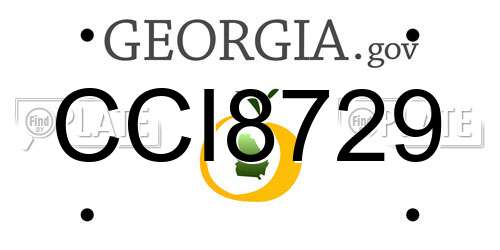 CCI8729 Georgia License Plate