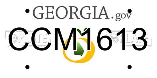 CCM1613 Georgia License Plate