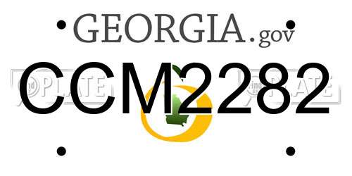 CCM2282 Georgia License Plate