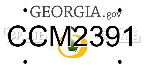 CCM2391 Georgia License Plate