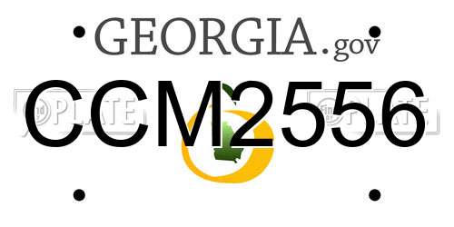 CCM2556 Georgia License Plate