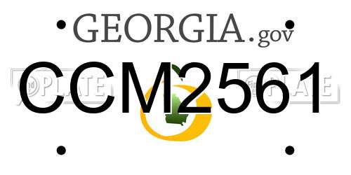 CCM2561 Georgia License Plate