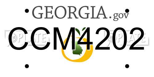 CCM4202 Georgia License Plate