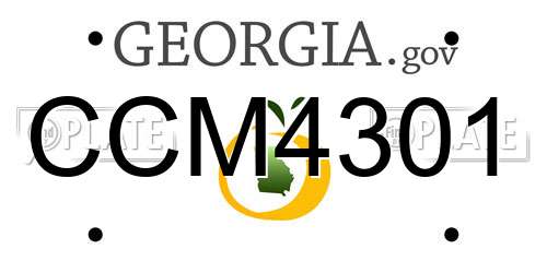 CCM4301 Georgia License Plate