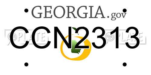 CCN2313 Georgia License Plate
