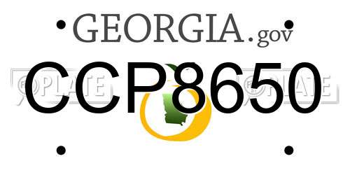 CCP8650 Georgia License Plate
