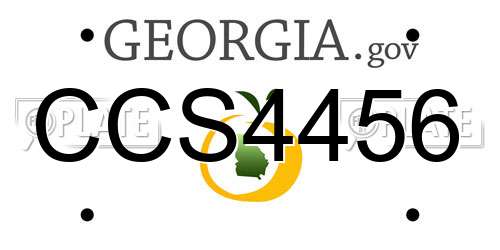 CCS4456 Georgia License Plate