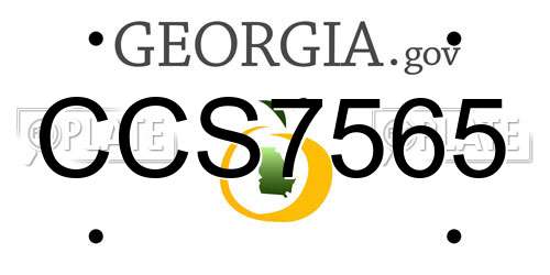 CCS7565 Georgia License Plate