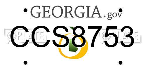 CCS8753 Georgia License Plate