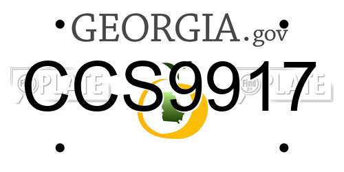 CCS9917 Georgia License Plate