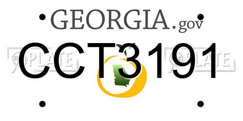CCT3191 Georgia License Plate