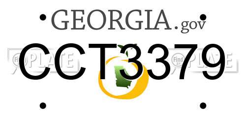 CCT3379 Georgia License Plate