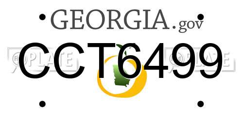 CCT6499 Georgia License Plate