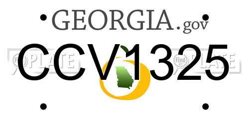 CCV1325 Georgia License Plate