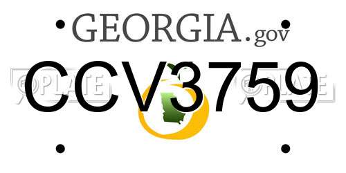 CCV3759 Georgia License Plate