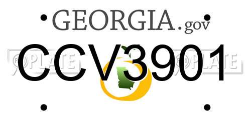 CCV3901 Georgia License Plate