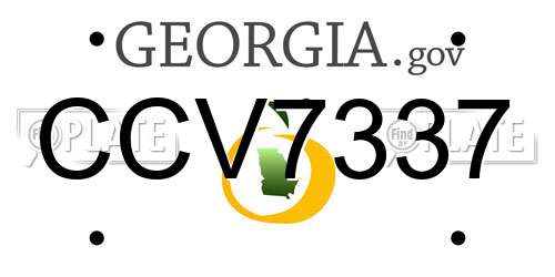 CCV7337 Georgia License Plate