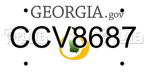 CCV8687 Georgia License Plate