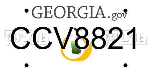 CCV8821 Georgia License Plate
