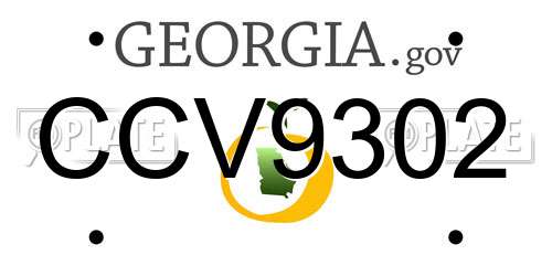 CCV9302 Georgia License Plate