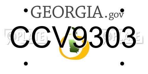 CCV9303 Georgia License Plate