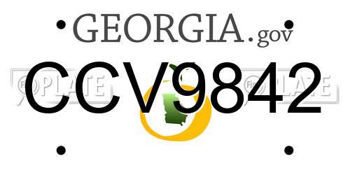 CCV9842 Georgia License Plate