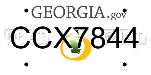 CCX7844 Georgia License Plate