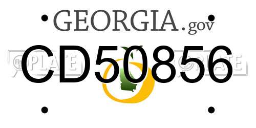CD50856 Georgia License Plate