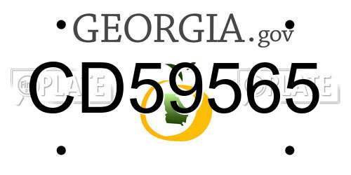 CD59565 Georgia License Plate