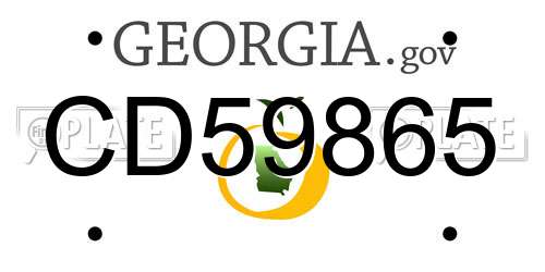CD59865 Georgia License Plate