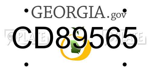 CD89565 Georgia License Plate