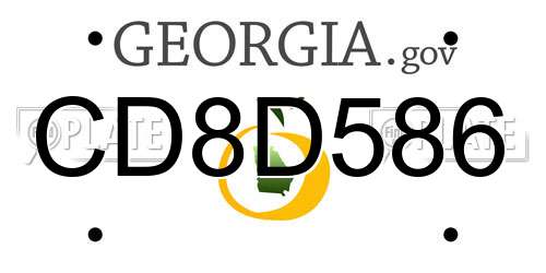 CD8D586 Georgia License Plate