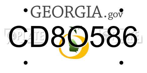 CD8O586 Georgia License Plate