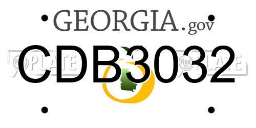 CDB3032 Georgia License Plate