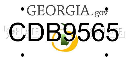 CDB9565 Georgia License Plate