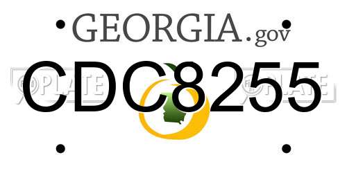 CDC8255 Georgia License Plate