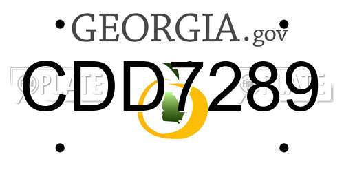 CDD7289 Georgia License Plate