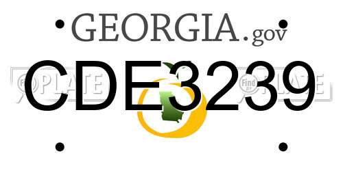 CDE3239 Georgia License Plate