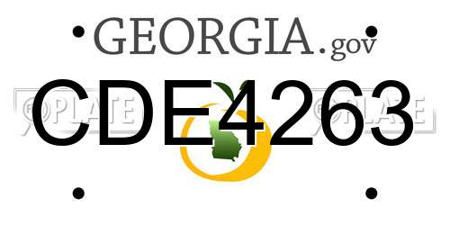 CDE4263 Georgia License Plate