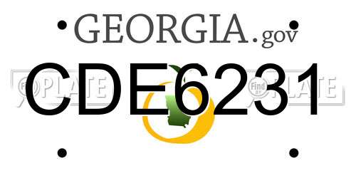 CDE6231 Georgia License Plate
