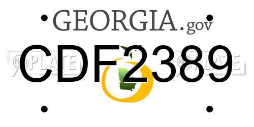 CDF2389 Georgia License Plate