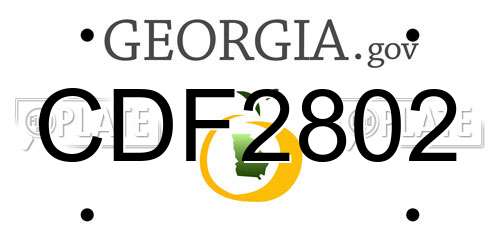 CDF2802 Georgia License Plate