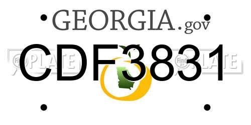 CDF3831 Georgia License Plate