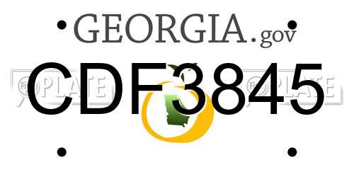 CDF3845 Georgia License Plate