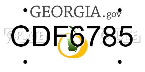 CDF6785 Georgia License Plate