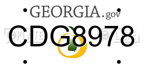 CDG8978 Georgia License Plate