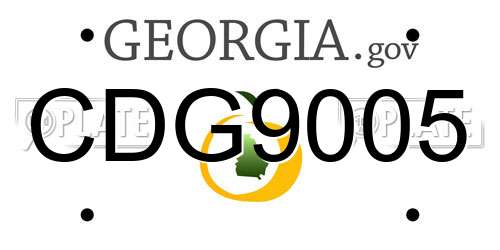 CDG9005 Georgia License Plate