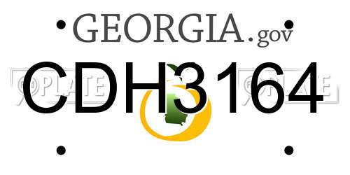 CDH3164 Georgia License Plate