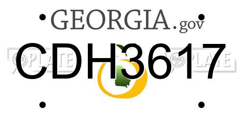 CDH3617 Georgia License Plate